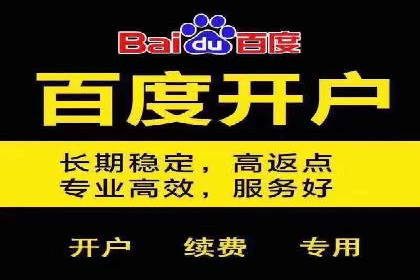 百度推广返点策略：成功案例分享
